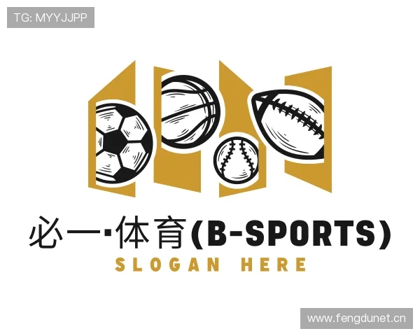 介绍必一·体育(b-sports)